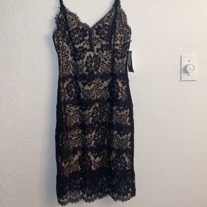 Babe Society Dress